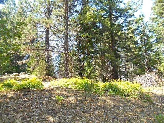 Lot 4 Off Westerly Deetz Road Rd Mount Mount Shasta, CA 96067 - Photo 6 of 11 Gallery Image 6