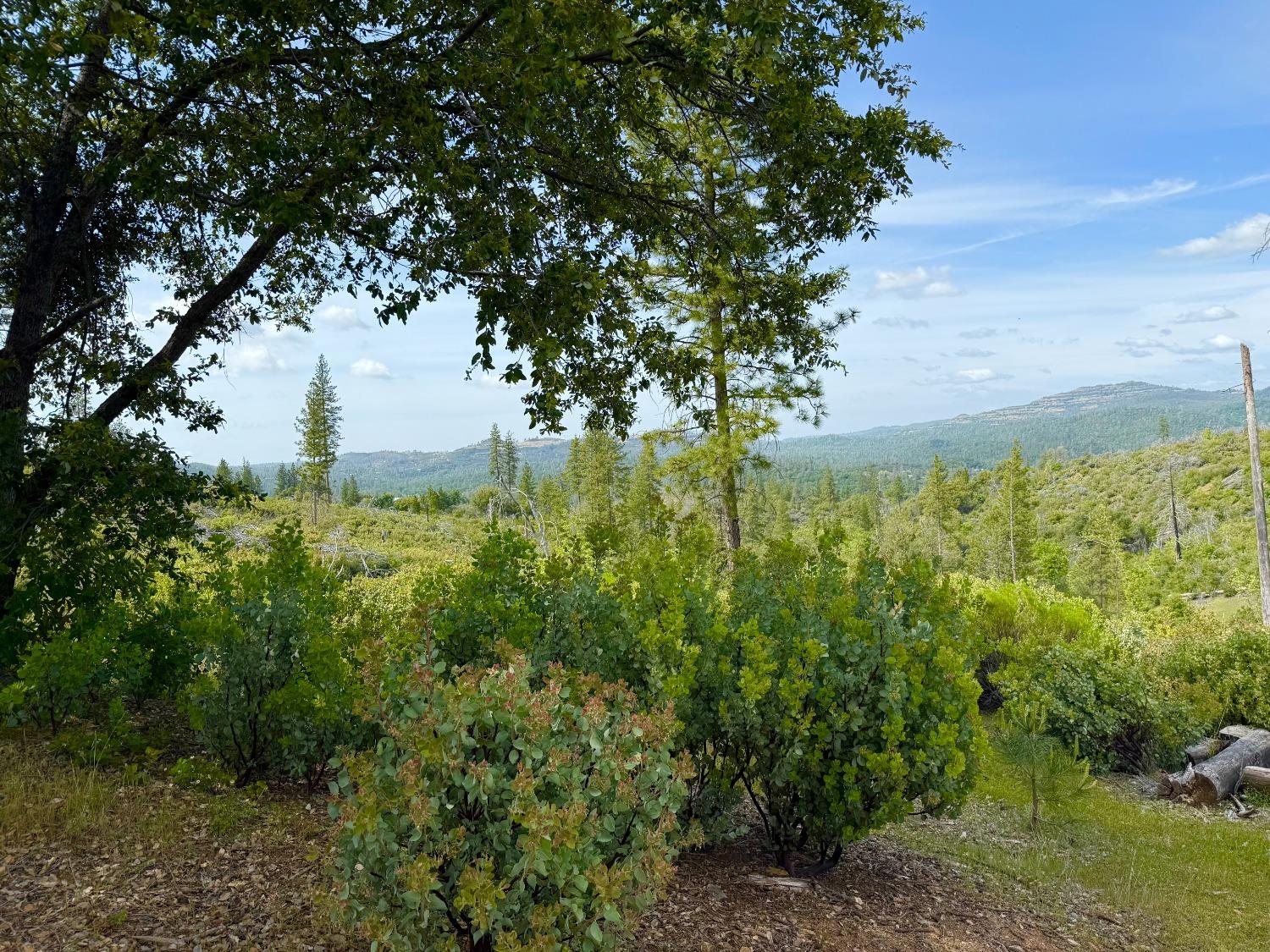 0 Fricot City Road Mountain Ranch, CA 95246 - Photo 2 of 11 a view of a garden