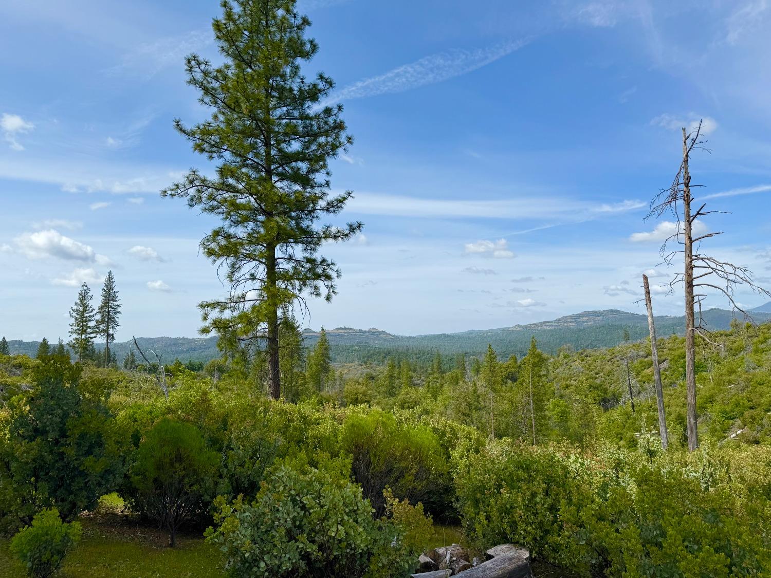 0 Fricot City Road Mountain Ranch, CA 95246 - Photo 4 of 11 a view of a lake with a big yard