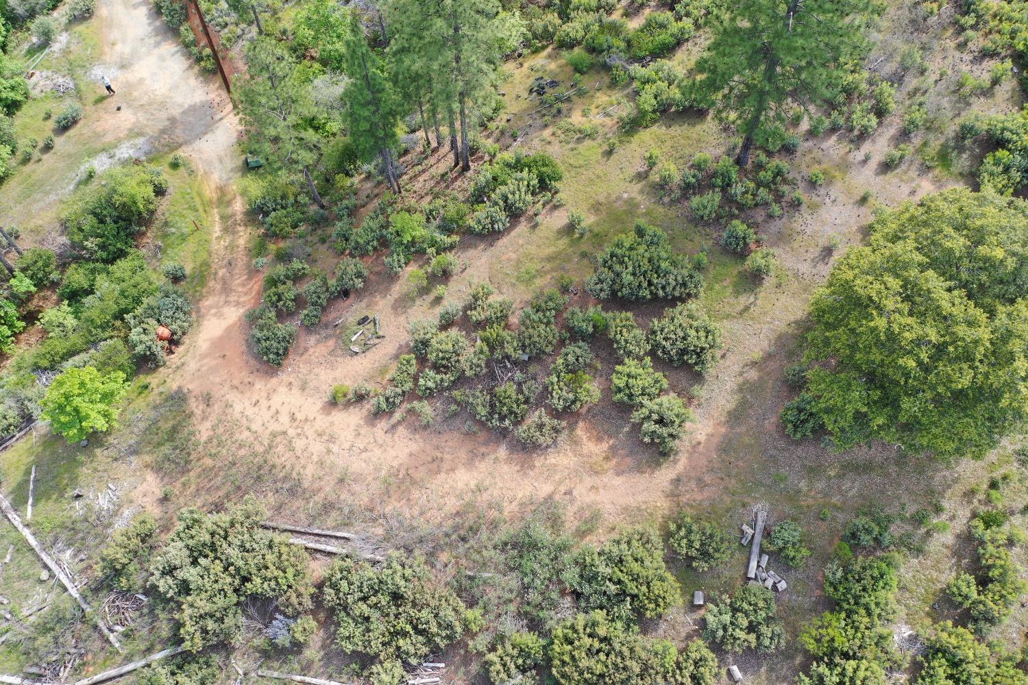 0 Fricot City Road Mountain Ranch, CA 95246 - Photo 9 of 11 a view of a yard with a tree