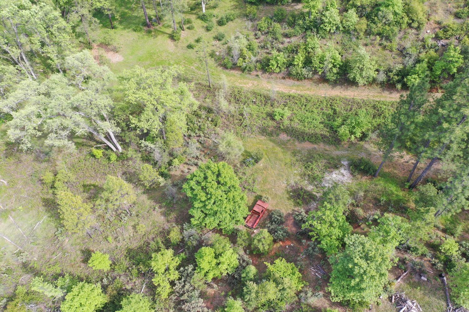 0 Fricot City Road Mountain Ranch, CA 95246 - Photo 10 of 11 a view of a yard with a tree