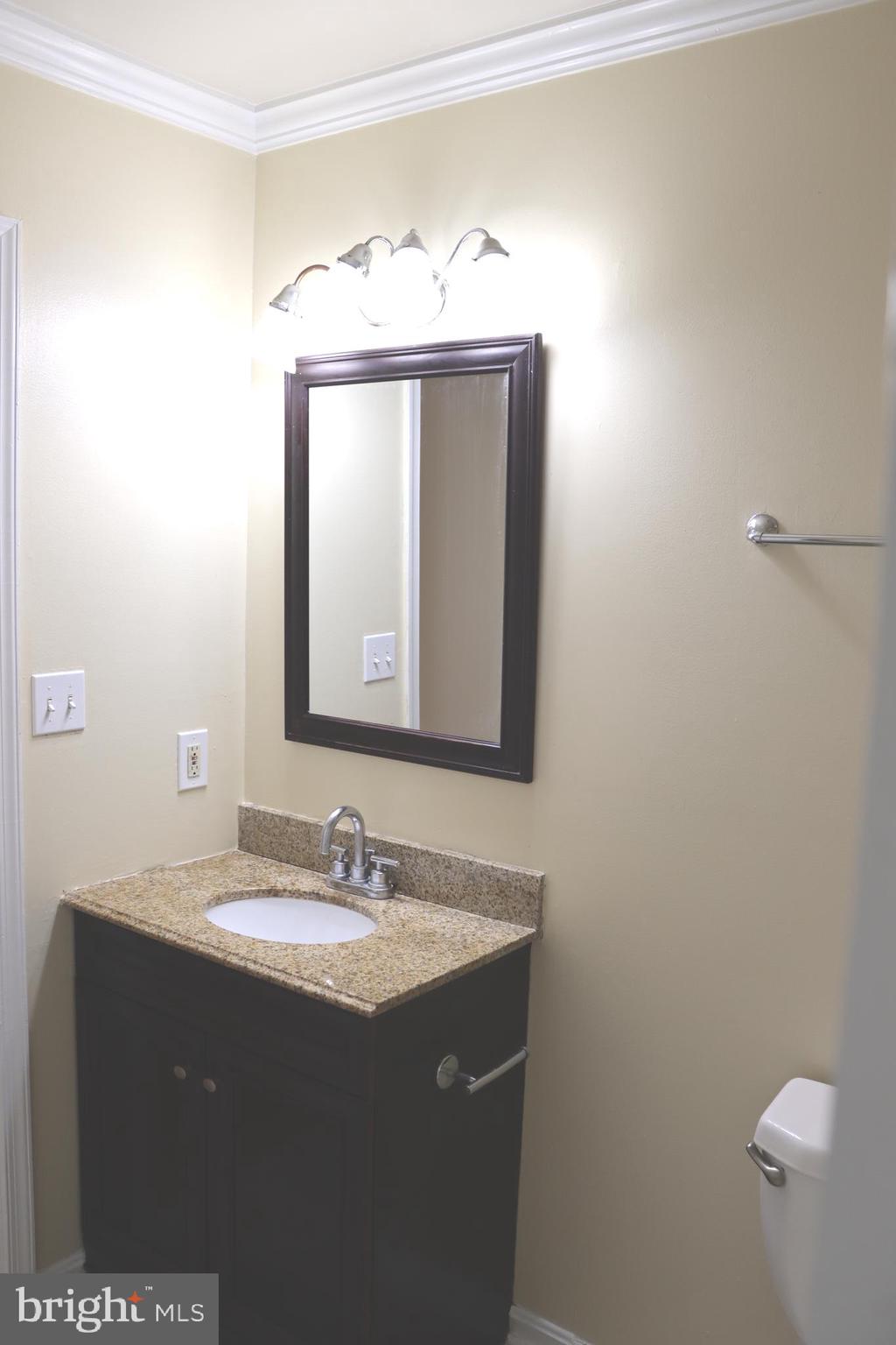 8704 Chestnut Ridge Drive Laurel, MD 20707 - Photo 6 of 15 Bathroom