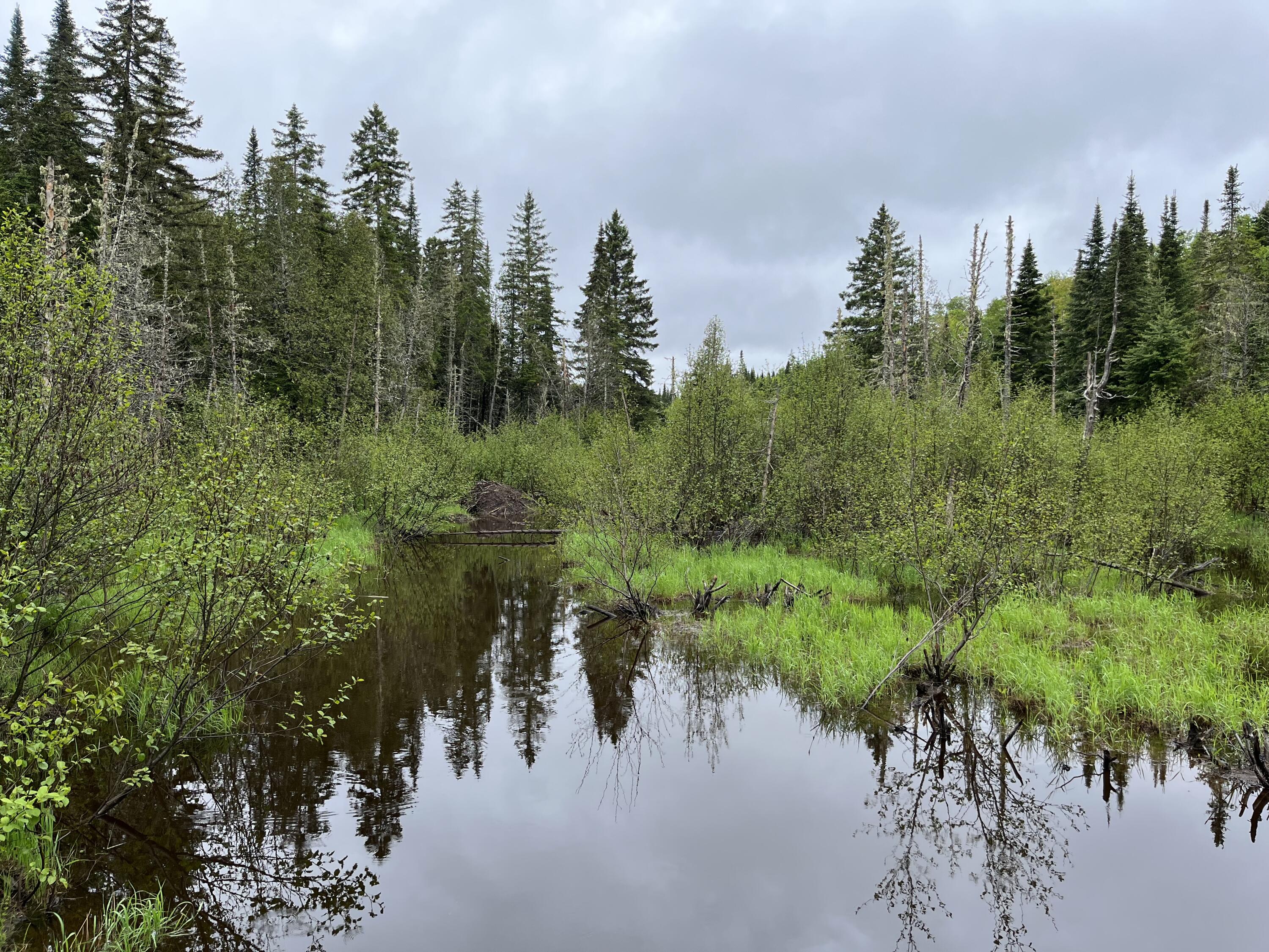 1731 Hamlin Road Van Buren, ME 04785 - Photo 11 of 34 Hamlin property