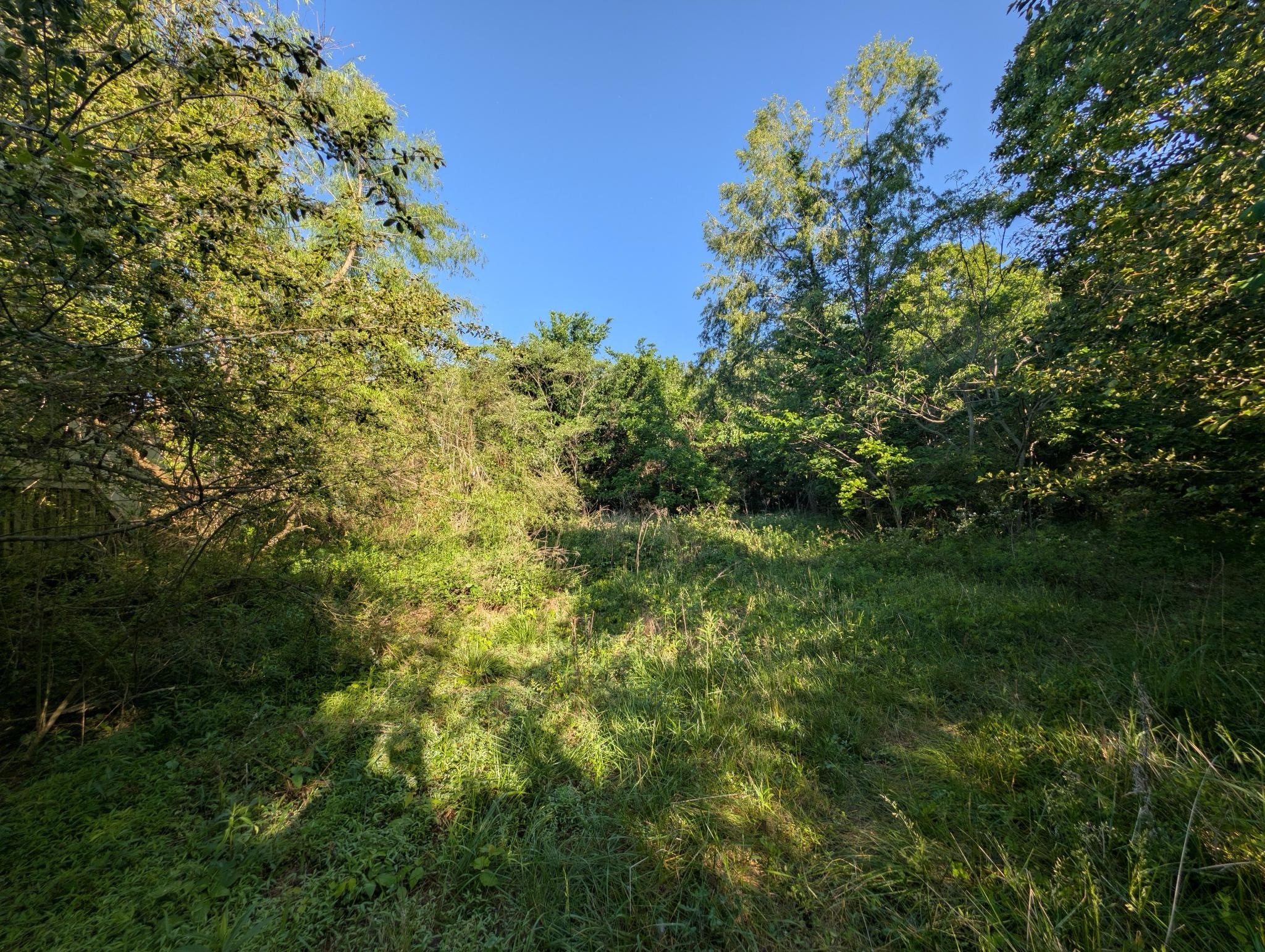1023 Abiff Road Bon Aqua, TN 37025 - Photo 3 of 14 a view of a garden