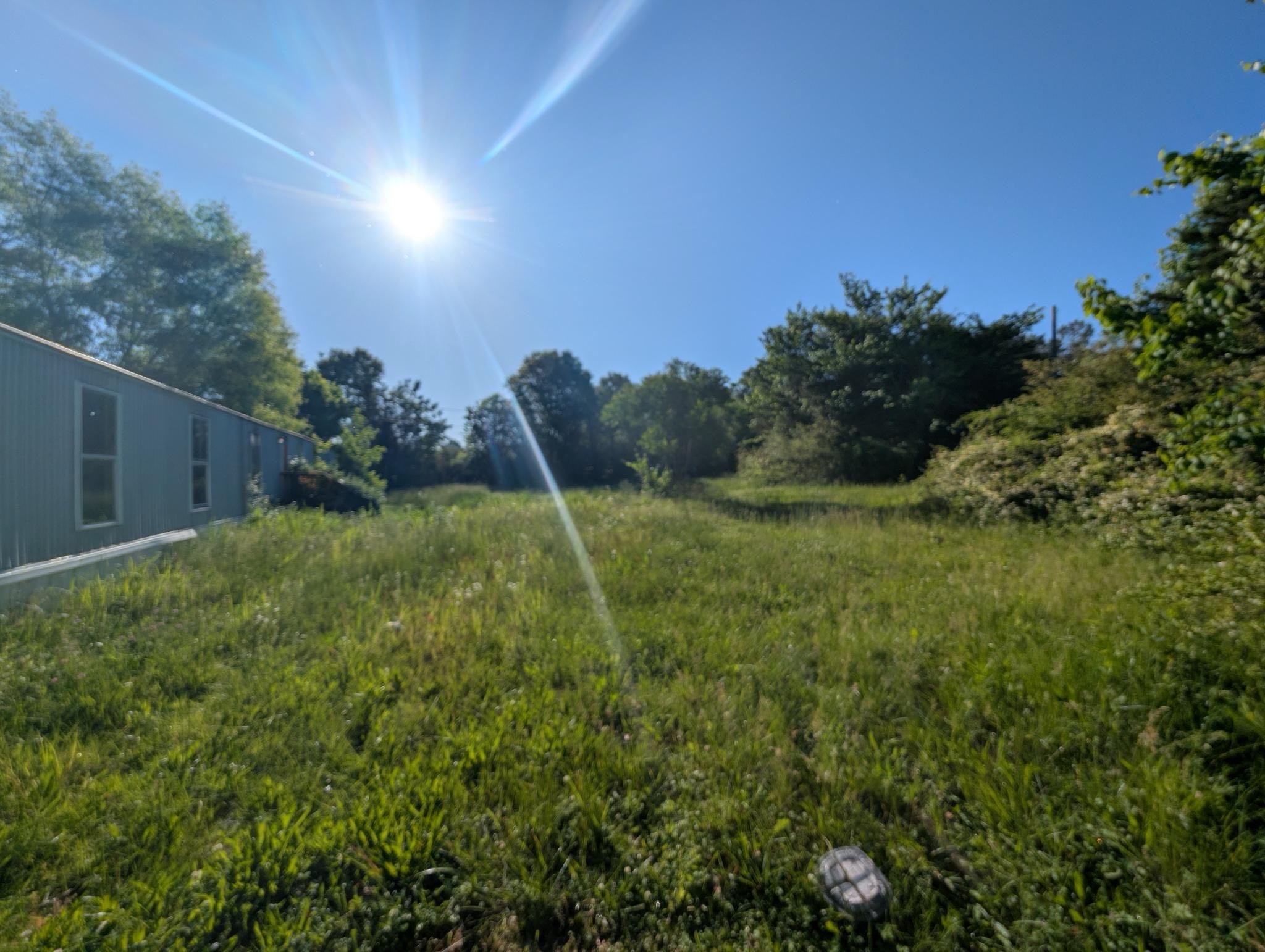 1023 Abiff Road Bon Aqua, TN 37025 - Photo 4 of 14 a view of a backyard