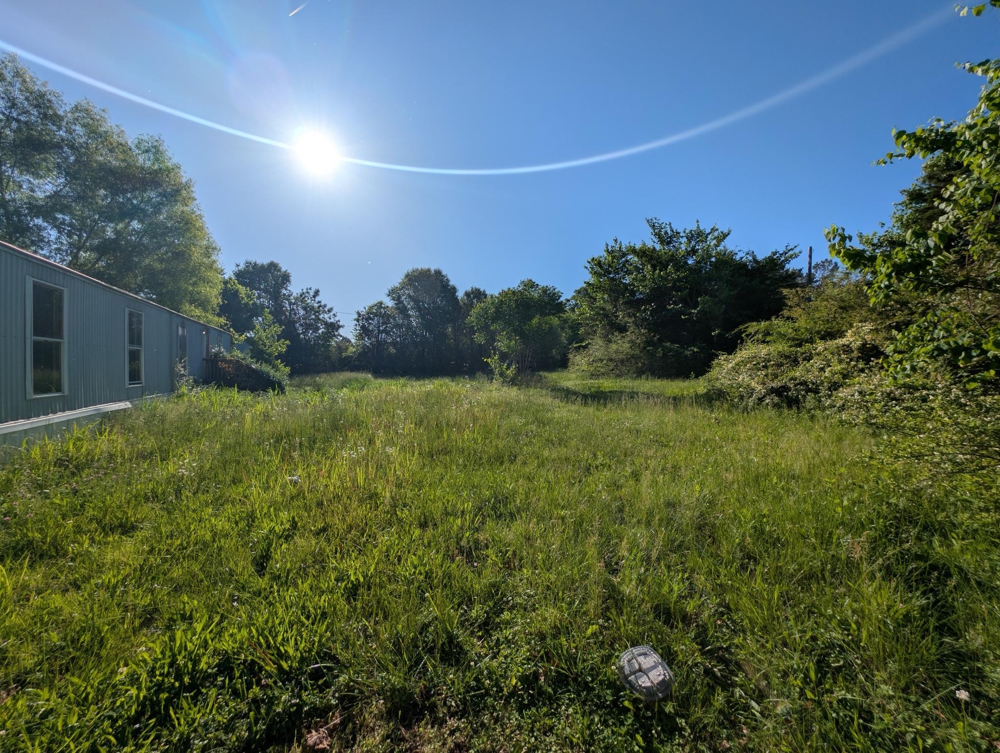 1023 Abiff Road Bon Aqua, TN 37025 - Photo 5 of 14 a view of a backyard