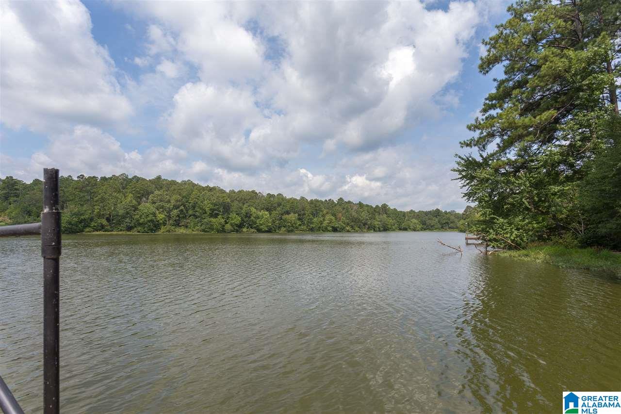 59 Lakeview Drive Oneonta, AL 35121 - Photo 45 of 49