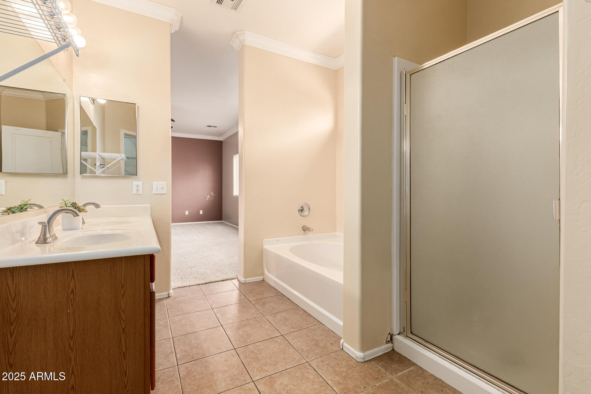 16890 West Rimrock Street Surprise, AZ 85388 - Photo 11 of 28 a bathroom with a sink and a bathtub
