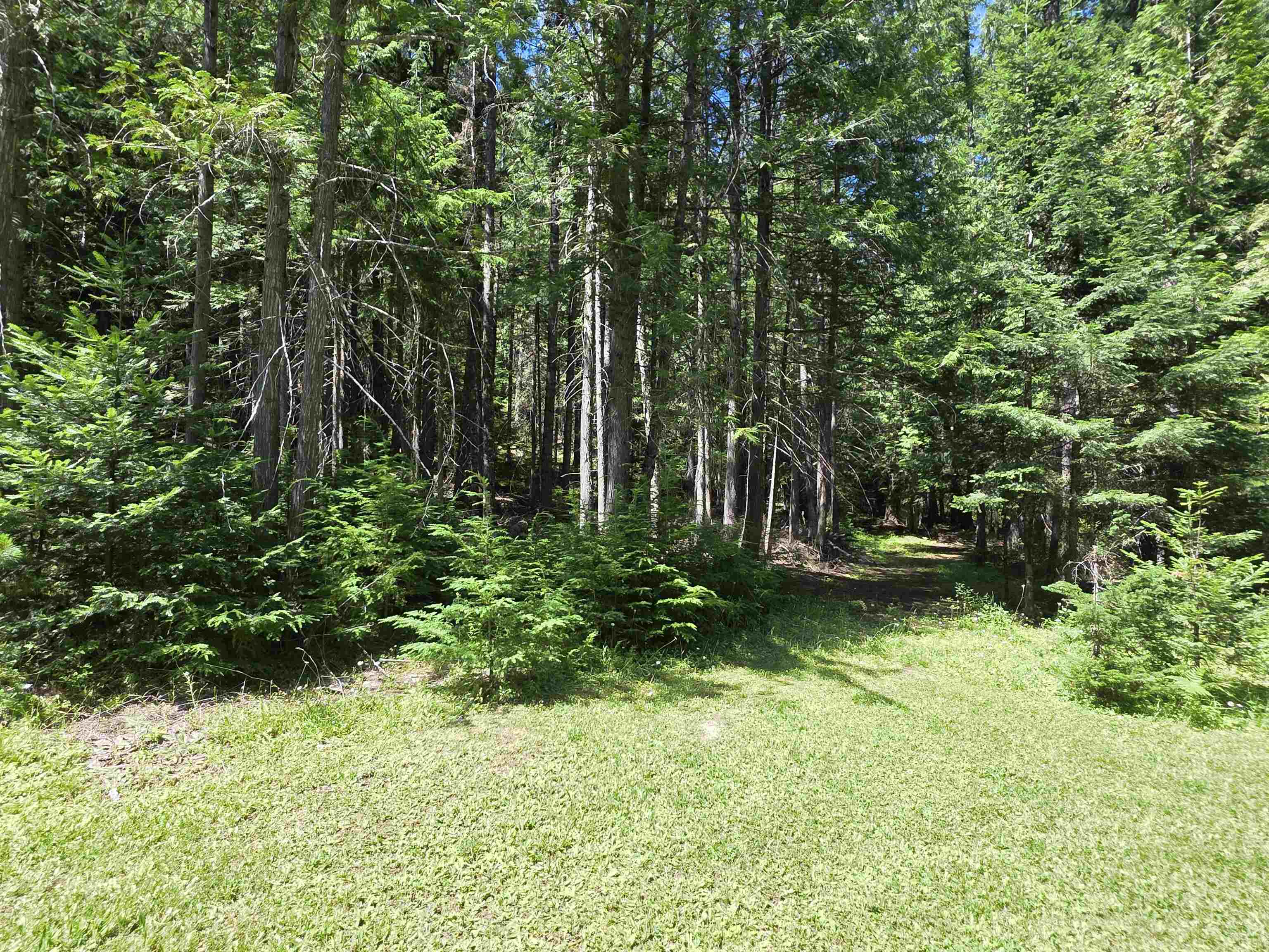 10281 Boundary Road Metaline Falls, WA 99153 - Photo 14 of 18 Gallery Image 14