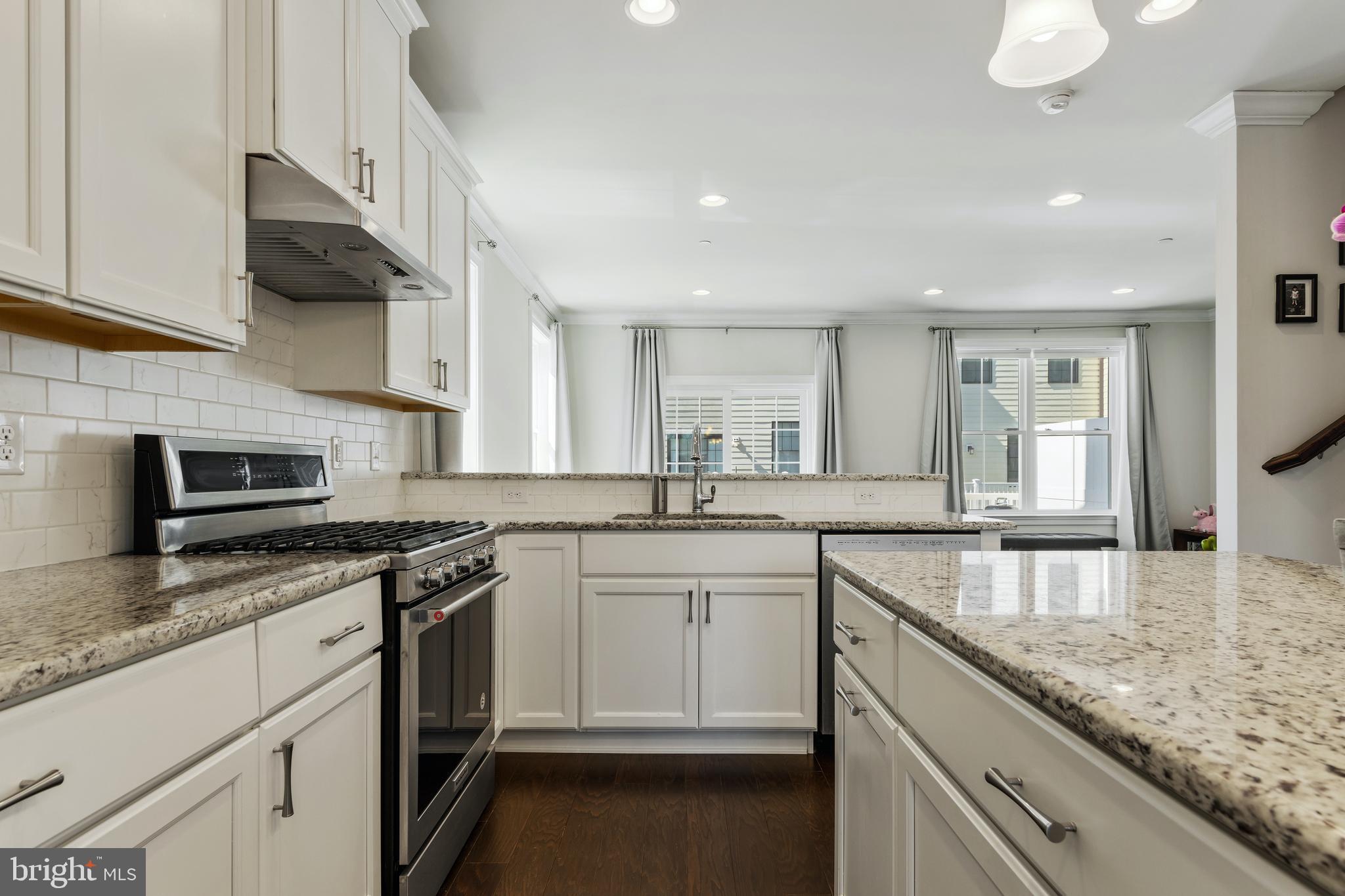 120 Tess Lane Wayne, PA 19087 - Photo 15 of 38 Generous cabinet & counter space