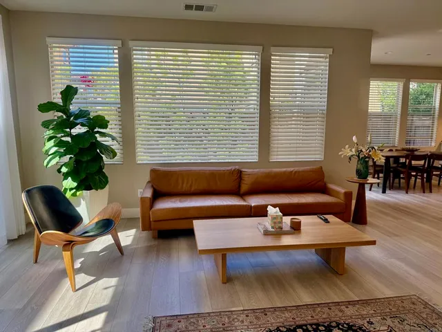 a living room with furniture and a potted plant