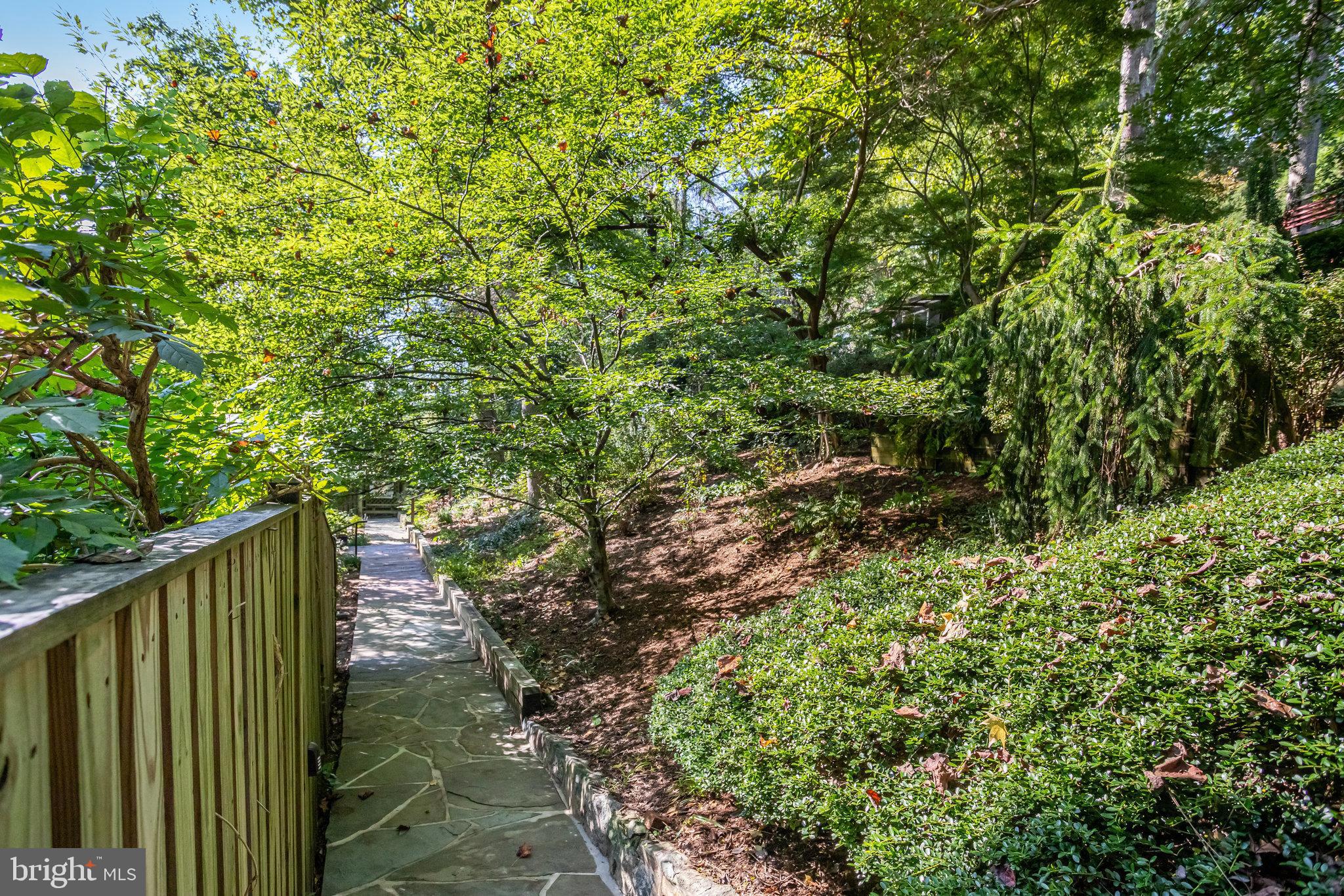 7316 Rippon Road Alexandria, VA 22307 - Photo 54 of 67