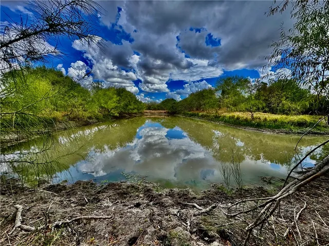a view of a lake from a yard
