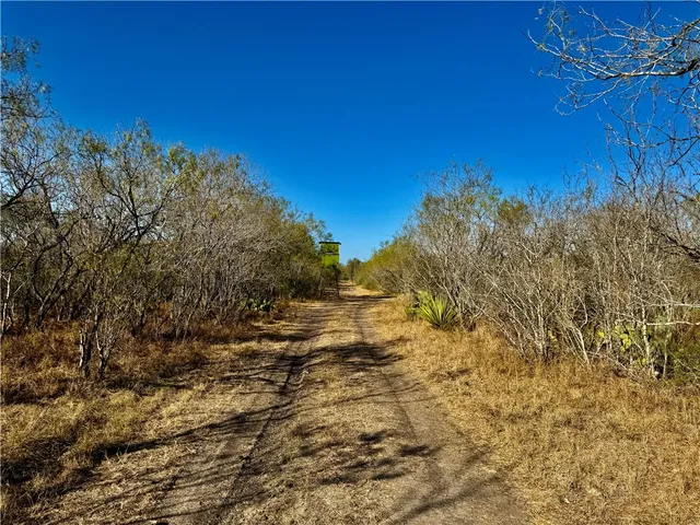 a view of a wooden floor