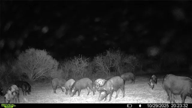 a view of dining room with furniture