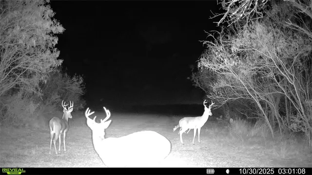 a balcony with table and chairs