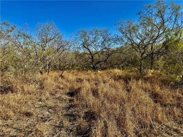a view of a lake with mountains in the background