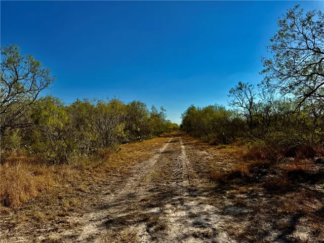 a view of swimming pool in a backyard