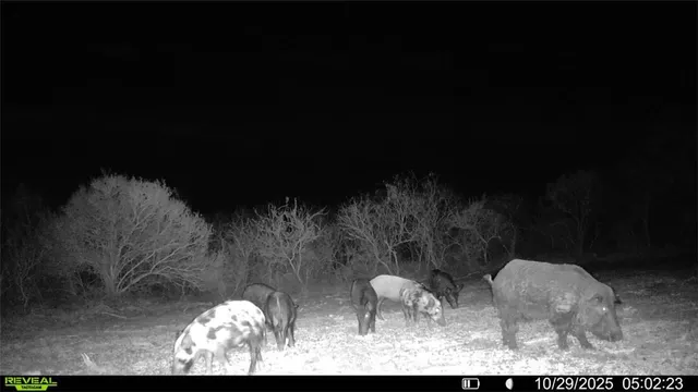 a black and white photo of a floor