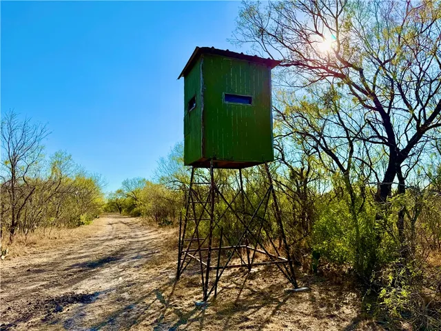 a green field with trees in the background