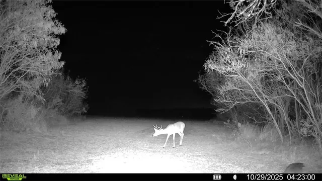 a picture of a bathroom with a toilet