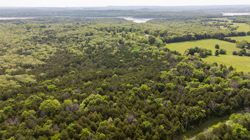 1 Horseshoe Bnd Road Lead Hill, AR 72644 - Photo 20 of 46 Expansive wooded acreage featuring diverse tree coverage and open pasture areas