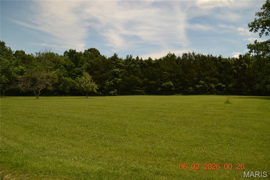 4350 Silver Springs Road Bonne Terre, MO 63628 - Photo 20 of 41