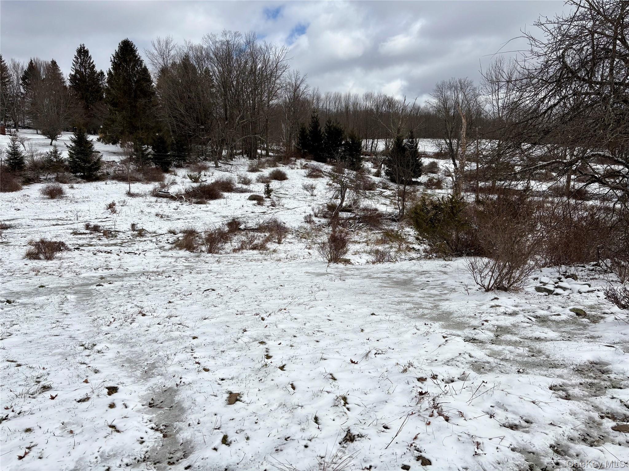 14 Frelich Rd/t R 28 Fremont Center, NY 12736 - Photo 21 of 47