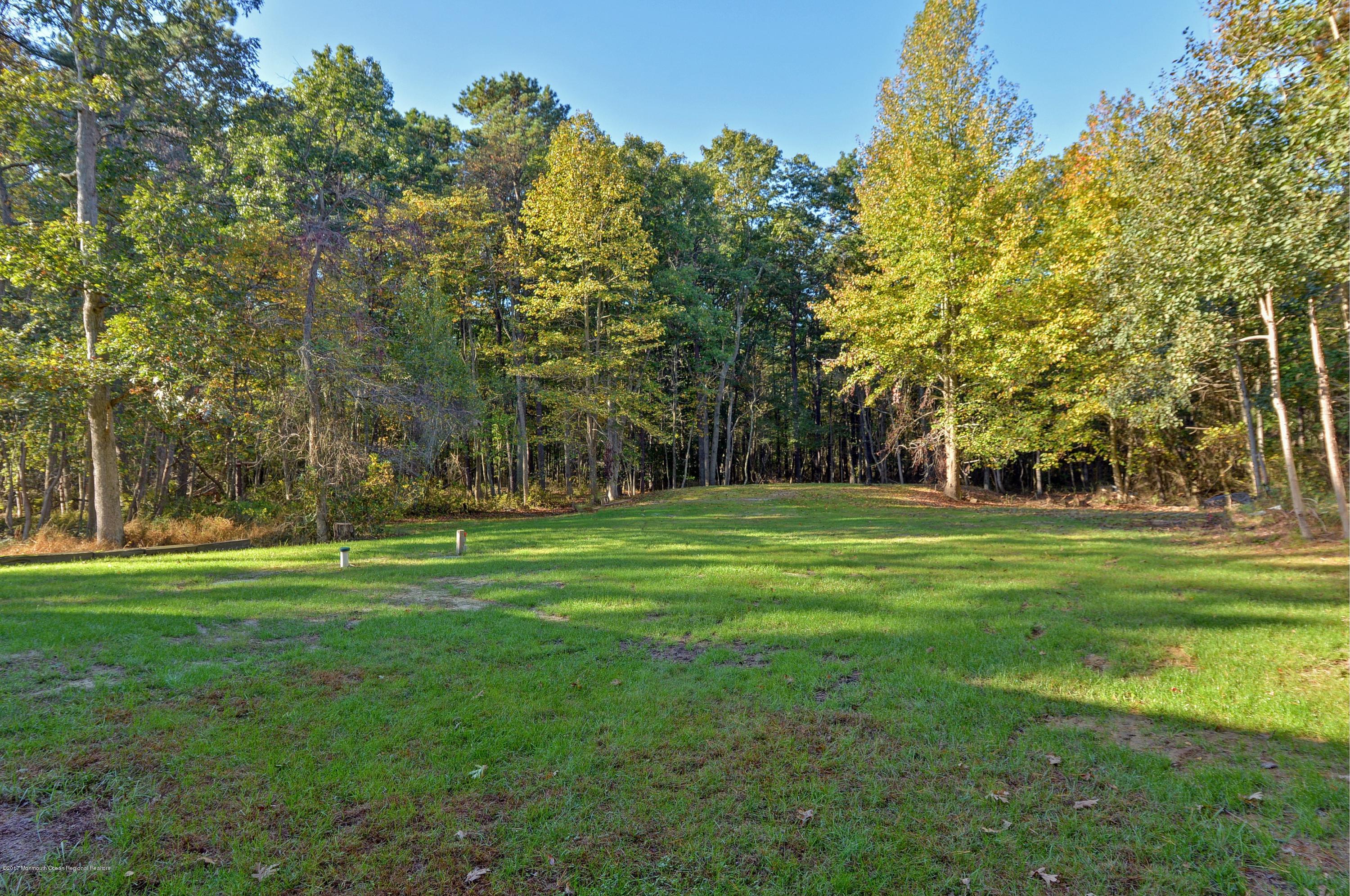 22 Pittenger Pond Road Freehold, NJ 07728 - Photo 25 of 27 023_Backyard