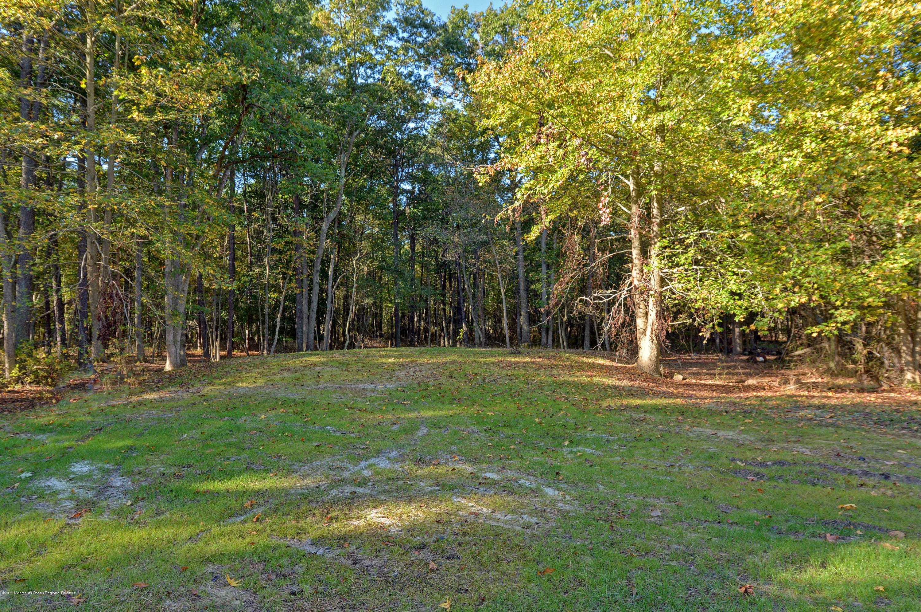 22 Pittenger Pond Road Freehold, NJ 07728 - Photo 26 of 27 024_Yard