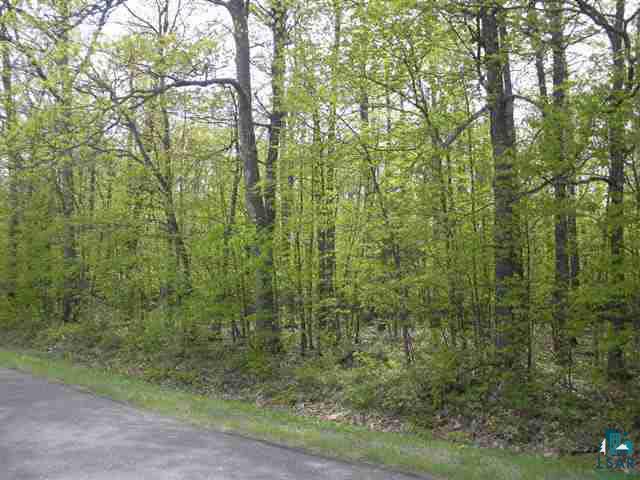Xxx Boulevard Road Iron River, WI 54847 - Photo 2 of 3