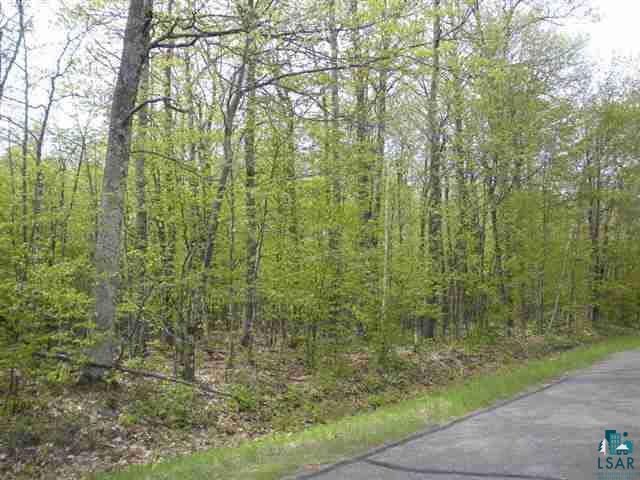 Xxx Boulevard Road Iron River, WI 54847 - Photo 3 of 3