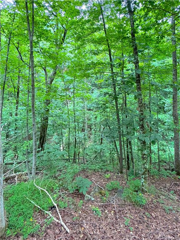 655 Mt Sequoyah Road Jasper, GA 30143 - Photo 37 of 38 Gallery Image 37