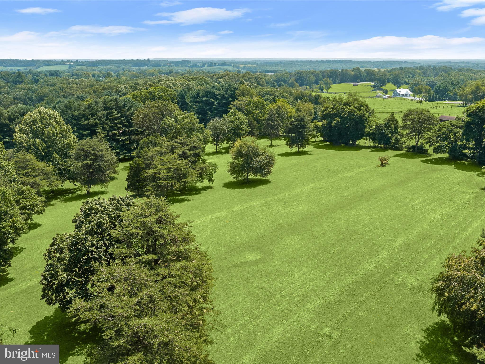 18389 New Cut Road Mount Airy, MD 21771 - Photo 11 of 41 a view of a big yard with large trees