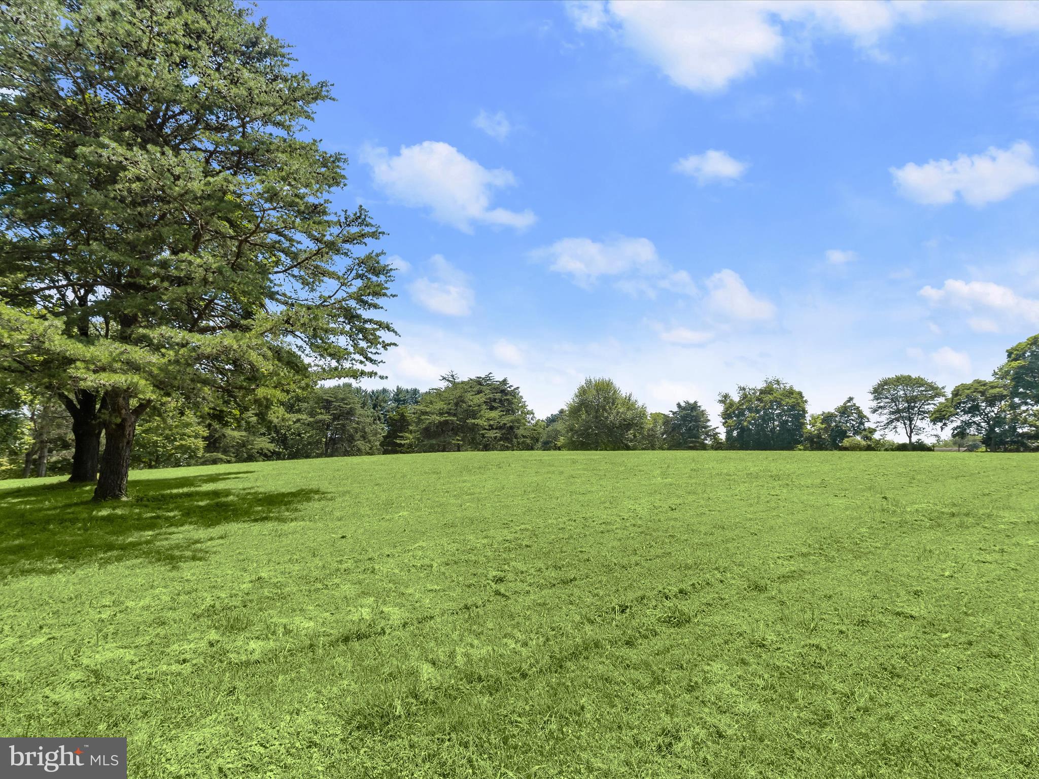 18389 New Cut Road Mount Airy, MD 21771 - Photo 13 of 41 a view of field with trees in the background