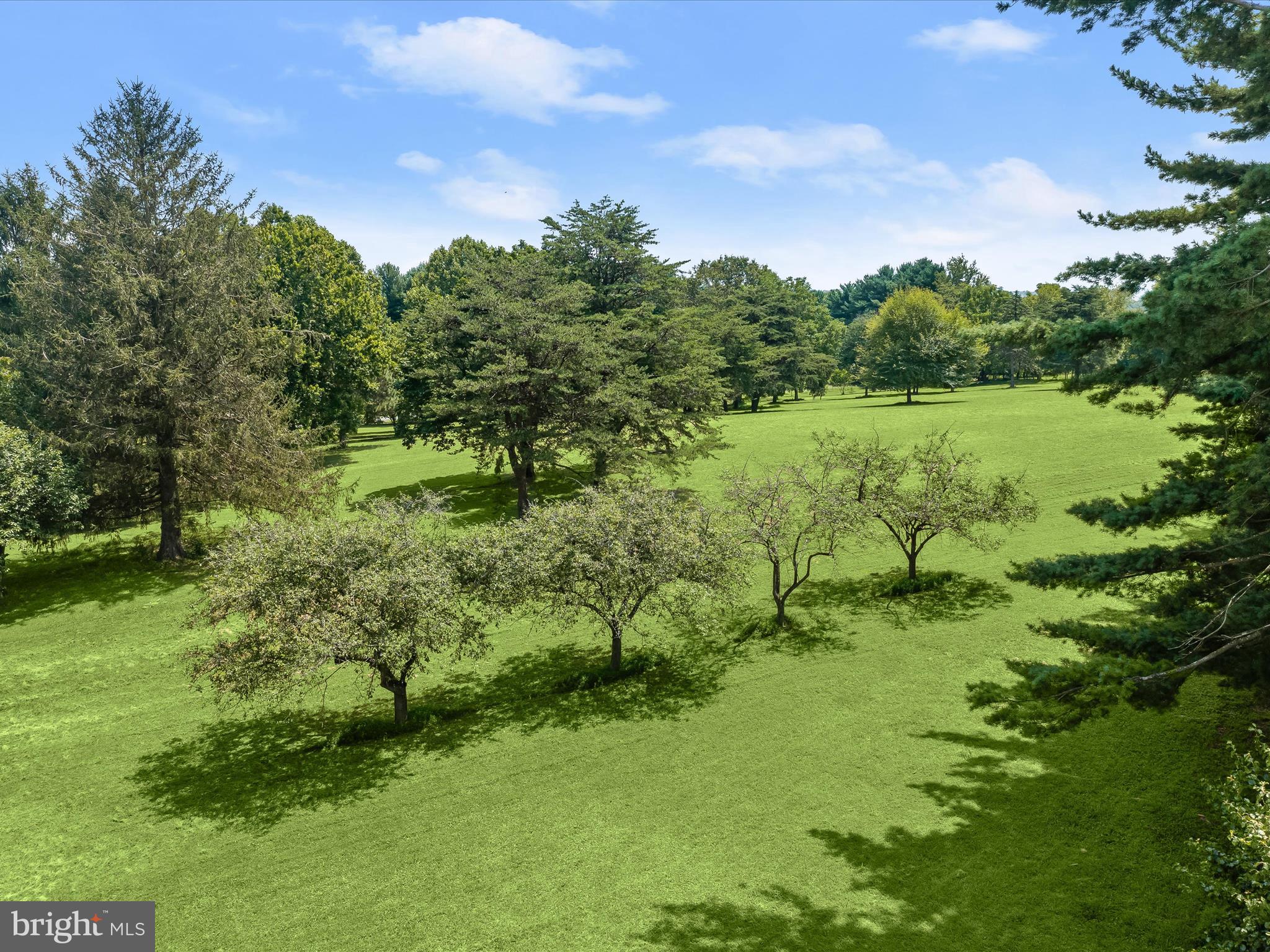 18389 New Cut Road Mount Airy, MD 21771 - Photo 31 of 41 a big yard with lots of green space