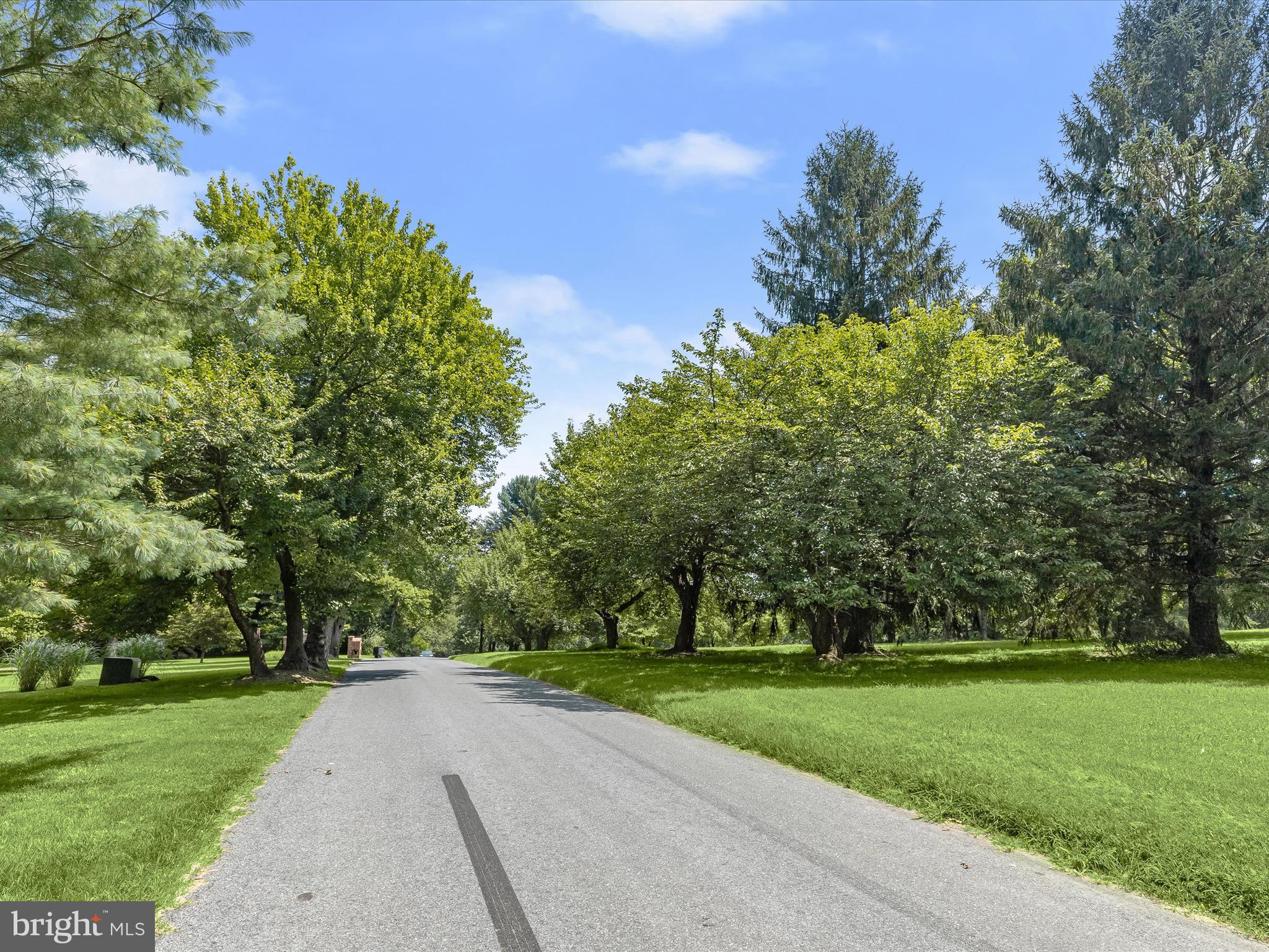 18389 New Cut Road Mount Airy, MD 21771 - Photo 36 of 41 a view of a park with tree s
