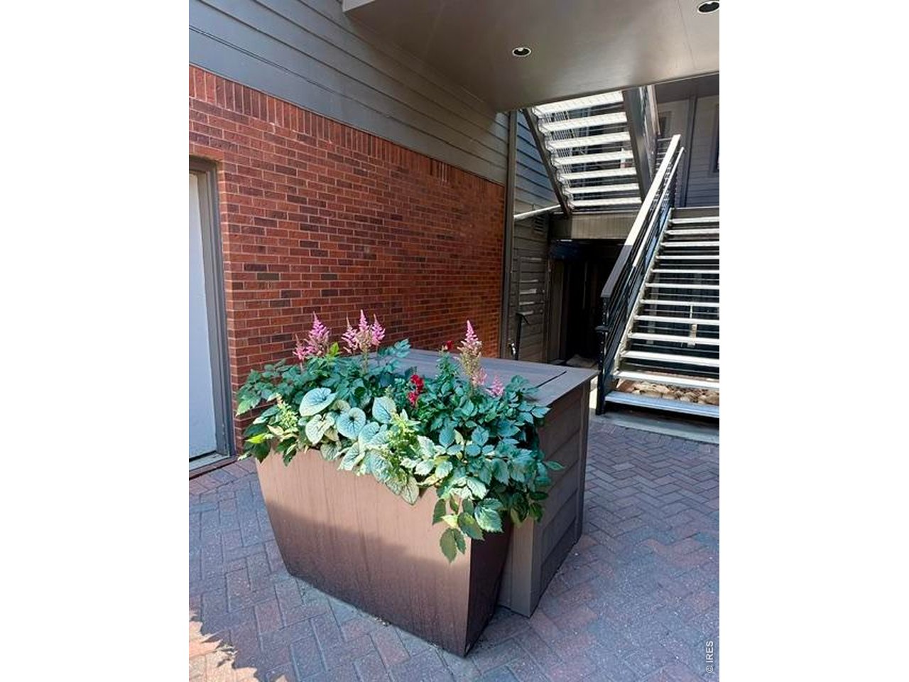 836 Walnut Street, Unit B Boulder, CO 80302 - Photo 3 of 36 HOA maintained beautiful flowers