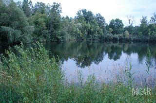 13117 Todd Road Ida, MI 48140 - Photo 9 of 20 949495-8.JPG