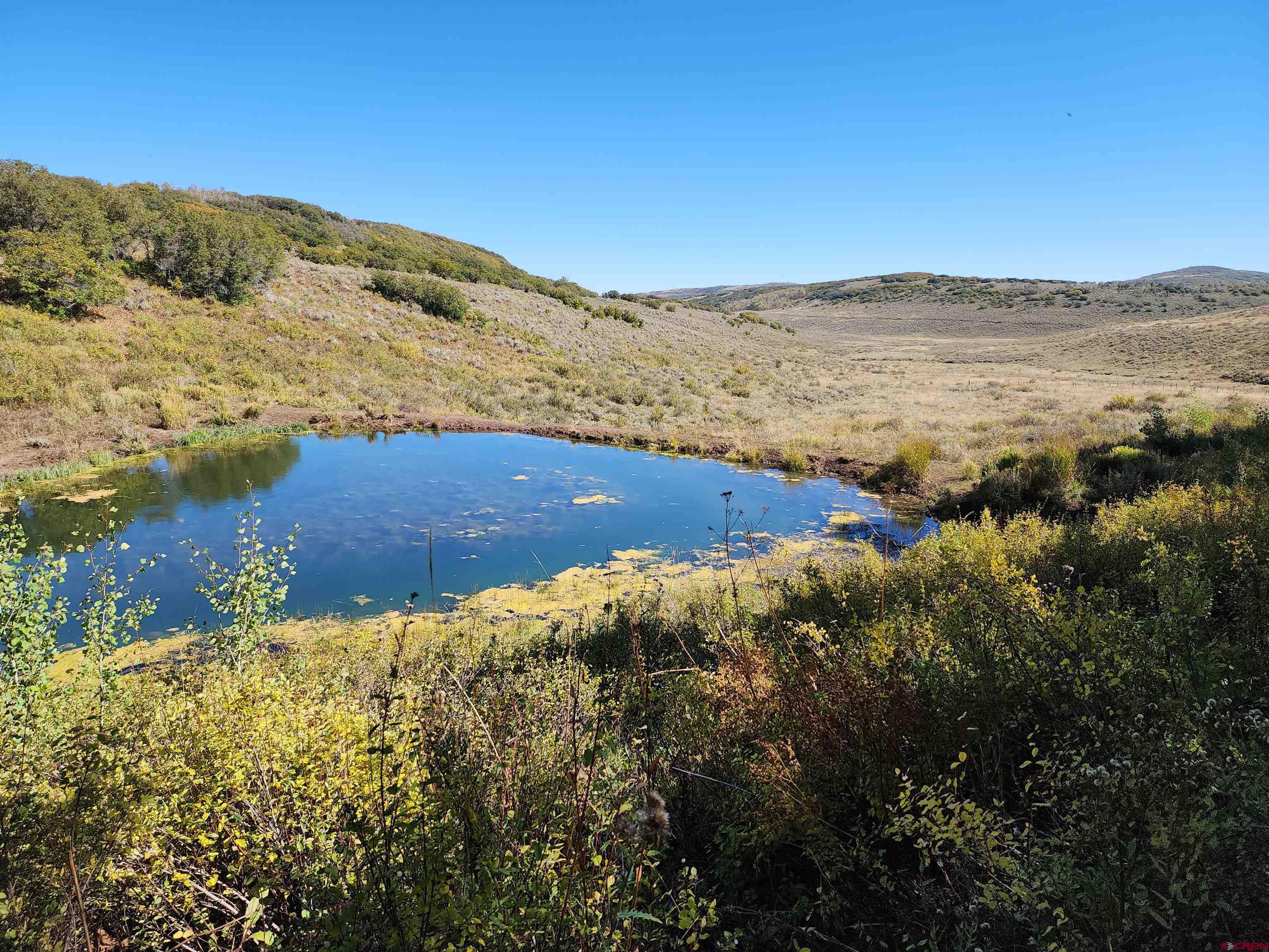 2586 26 1/10 Road Whitewater, CO 81527 - Photo 19 of 45