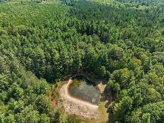 9773 Parke Road Alanson, MI 49706 - Photo 3 of 47 Gallery Image 3