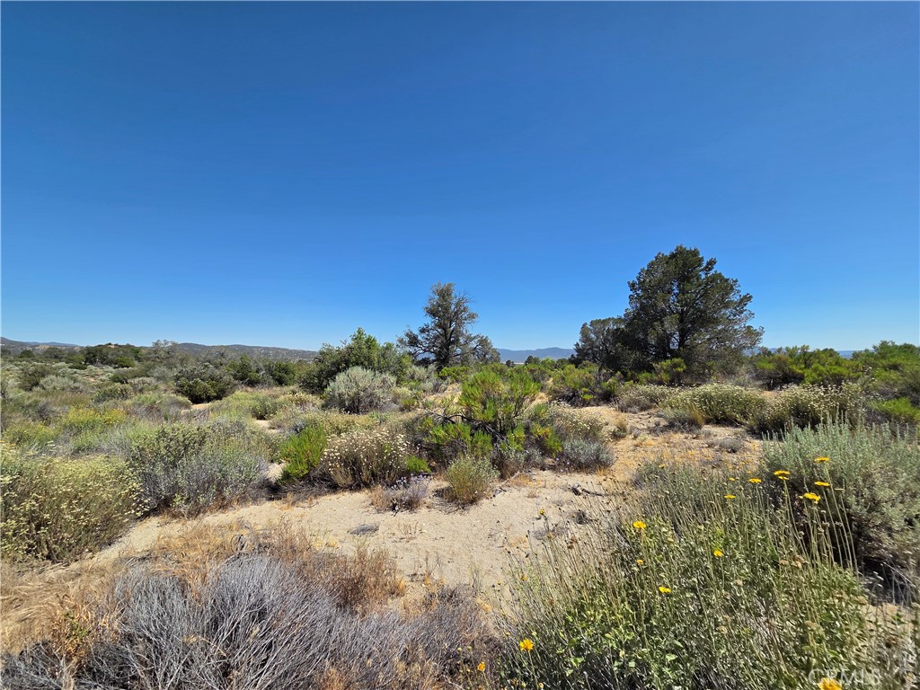 37310 Bohlen Road Anza, CA 92539 - Photo 10 of 11