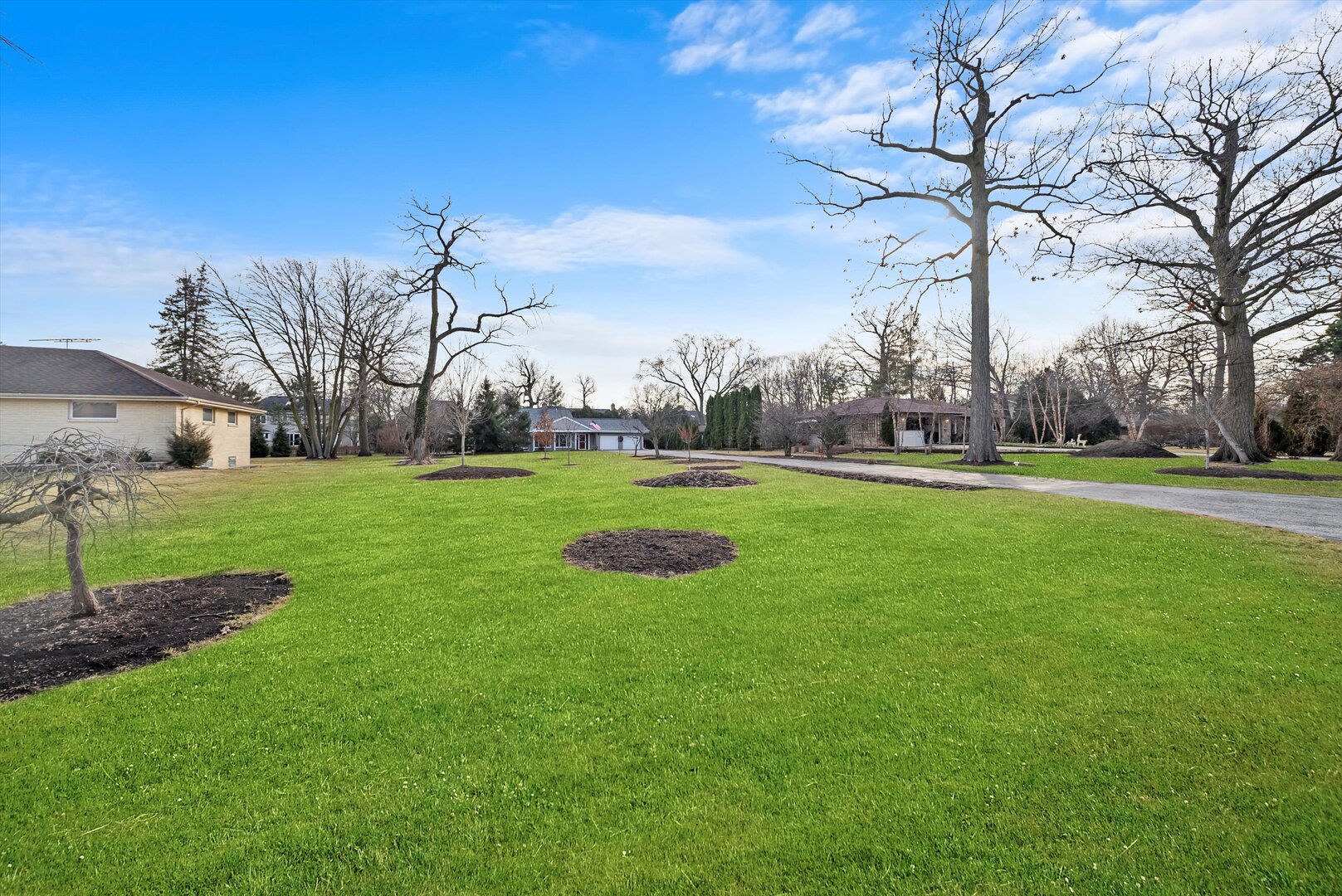 452 Deerpath Road Wood Dale, IL 60191 - Photo 41 of 50 a view of a park with large trees