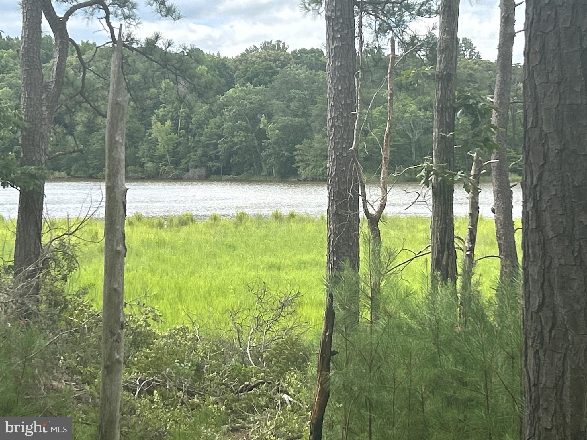 28-25 Stoney Point Road King George, VA 22485 - Photo 23 of 26 a view of lake from window