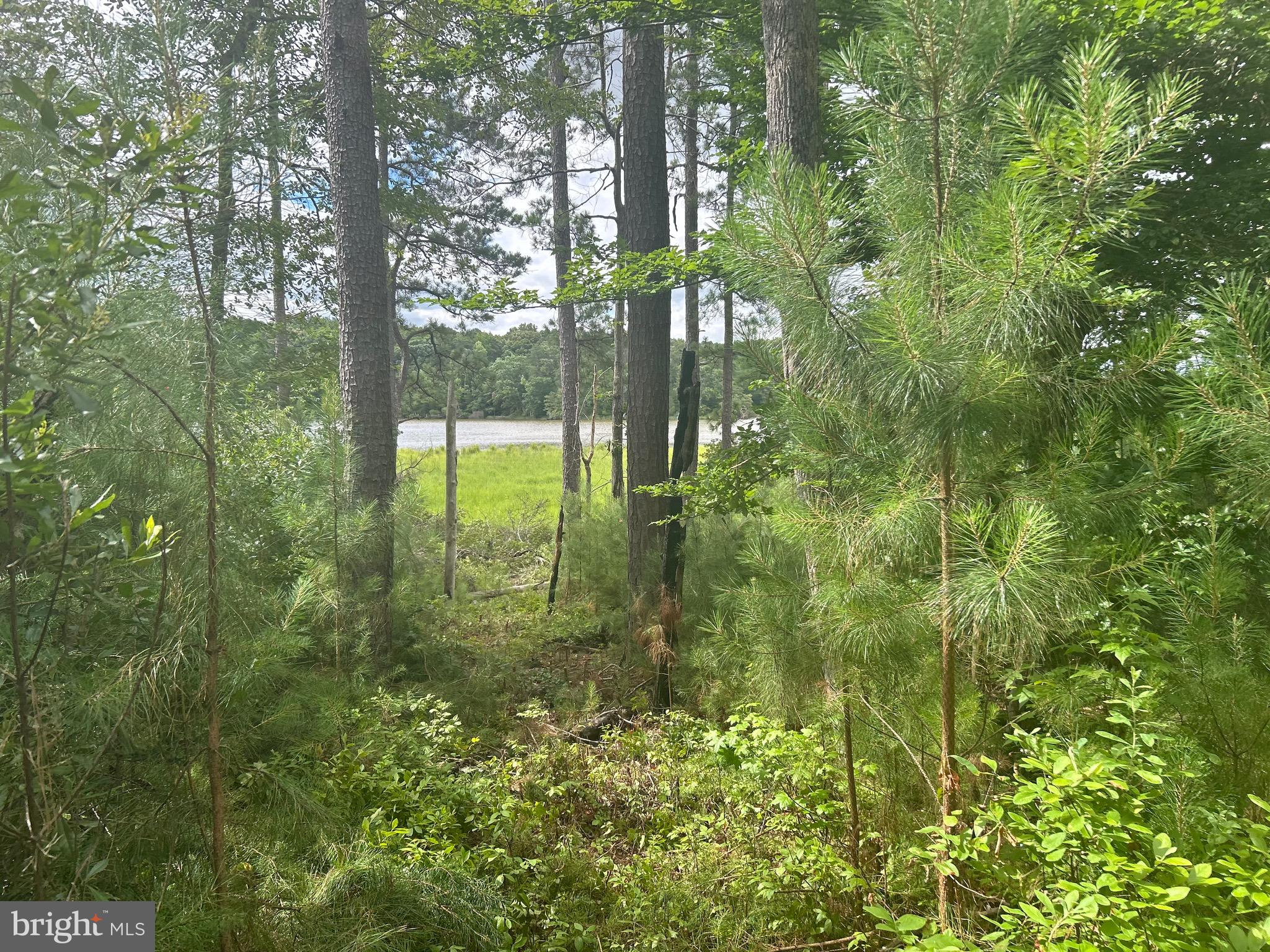 28-25 Stoney Point Road King George, VA 22485 - Photo 26 of 26 a view of outdoor view from window