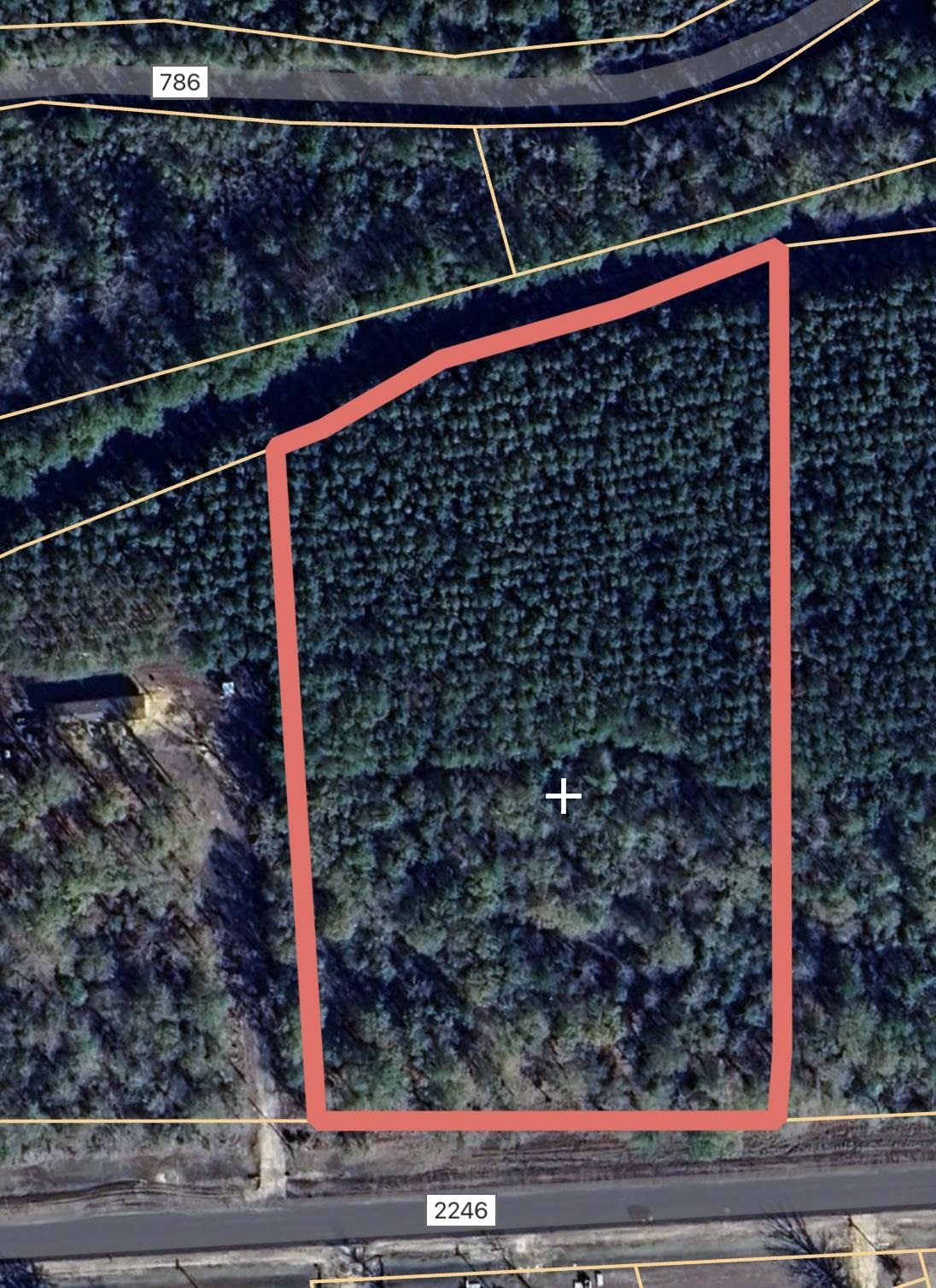 3135 Fm 2246 Road Buna, TX 77612 - Photo 3 of 3