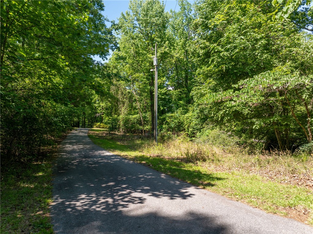 0 Ben Hurt Road Lyman, SC 29365 - Photo 20 of 21 A tranquil, tree-lined asphalt driveway awaits, providing a serene approach to your private retreat.
