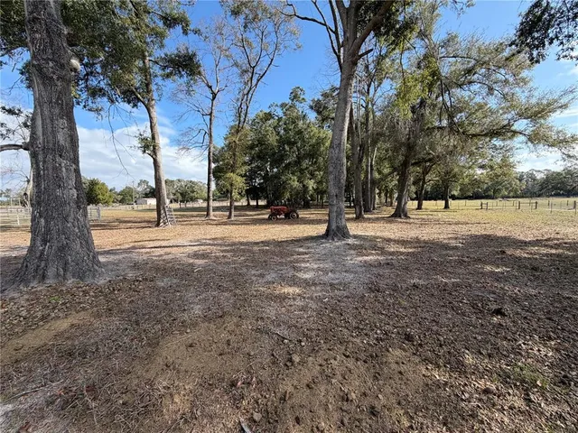a view of road with large trees