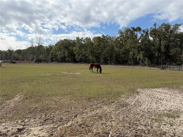 a view of outdoor space with field and trees
