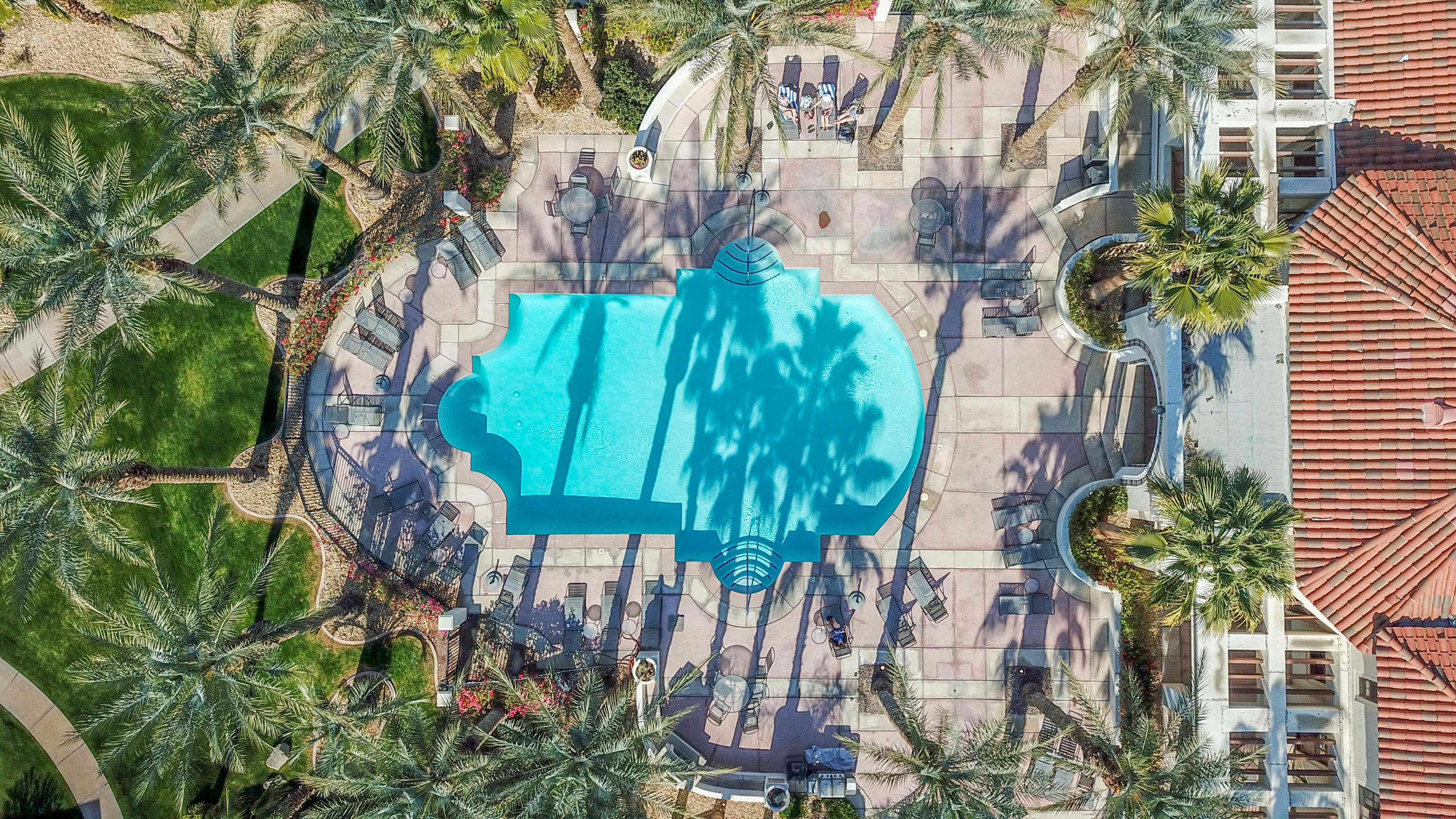 80777 Calle Azul La Quinta, CA 92253 - Photo 27 of 39 a picture of plants